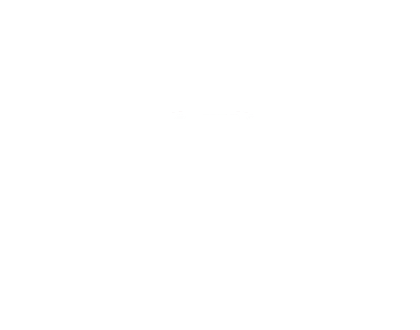 Link Twin