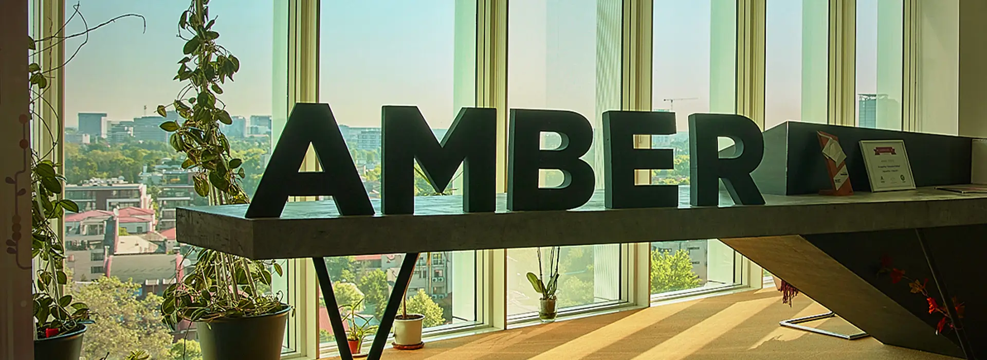 People of amber in 2024